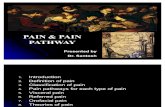 PAIN & PAIN