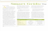 NE Sun-Autumn 2010-Smart Grid