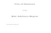 City of Amnesia