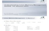 Memory Management of Linux PDF