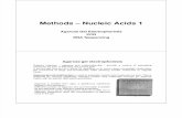 Methods – Nucleic Acids 1 [Read-Only]