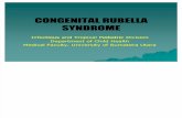 Congenital Rubella Kbk