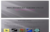 Microbial Genetics 1 (1)