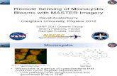 Remote Sensing of Microcystis Blooms in MASTER Imagery