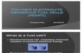 Polymer Fuel Cells