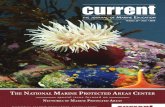 11. Current Journal - New Stresses on Marine MPAs (2010)