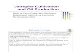 Jatropha Cultivation -Presentation