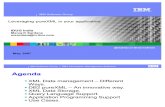 IDUG - 07 Programming Support for PureXML