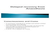 Delayed Recovery From Anaesthesia