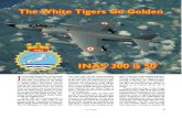 Indian Navy the White Tigers