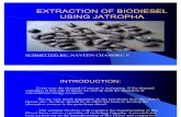 Extraction of Biodiesel Using Jatropha