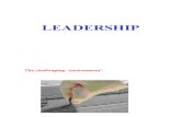 Leadership - BOI