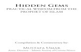 Hidden Gems-Mustafa Umar