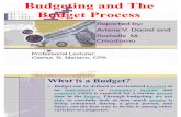 Budgeting and the Budget Process