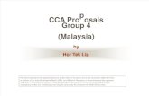 CCA Proposal Group4