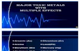 Toxi Metals Report
