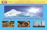 Energy Synopsis Report 2010