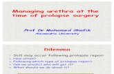 Managing Urethra at the Time of Prolapse Surgery