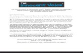 The Innocent Voice Advertising Packet Twin Cities MN