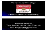 Condensed Theology, Lecture 40, Ecclesiology 01, Attributes