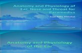 Anatomy, Physiology of ENT for Paramedics - Dr. Fuad Ridha