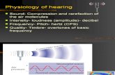 Physiology of the Hearing and Equilibrium