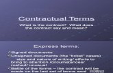 Contract Terms 2010
