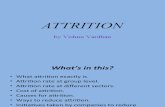 Attrition - Vishnu