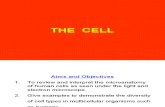 AL-01 Cell (09-10)