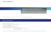 1011 Blackrock FI Slides - QE2 Overview
