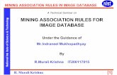 Mining Association Rules for Image Database
