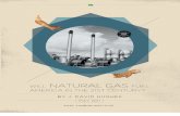 PCI Report Nat Gas Future