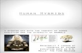 Human Hybridisation Project Presentation