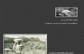 Cotton - A photo-essay.