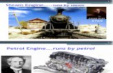 Prospects of Dedicated Biodiesel Engine Vehicles