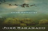 Small Memories by José Saramago (Excerpt)