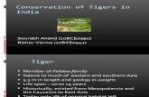 Conservation of Tigers In