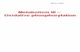Lecture 3 Oxidative Phosphorylation Metabolism III