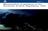 Electricity at Work Act 2007