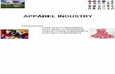 Apparel Industry 1