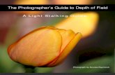 The Photographer’s Guide to Depth of Field