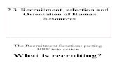 Recruiting Human Resources modified