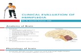CNS - Clinical Evaluation of Hemiplegia