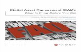 Digital Asset Management (DAM): What to Know Before You Go!