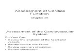 Assessment of Cardiac Function  Chapter 26 WEB