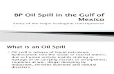 BP Oil Spill in the Gulf of Mexico