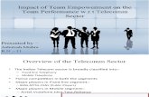 Impact of Team Empowerment on the Team Performance
