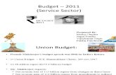 Budget 2011(Full Final)