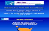 Highlights from AHRQ 2009 Expert Meeting, Cecilia Rivera Casale