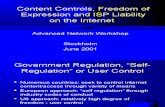Content Controls, Freedom of Expression and ISP Liability on the Internet